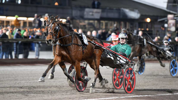 Foto: MALIN ALBINSSON / TR BILD