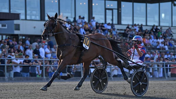 Foto: MALIN ALBINSSON / TR BILD