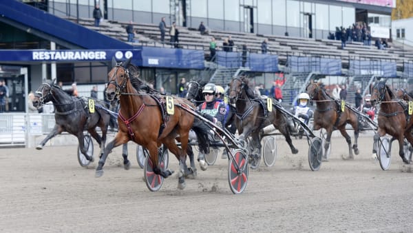 Foto: LARS JAKOBSSON / TR BILD