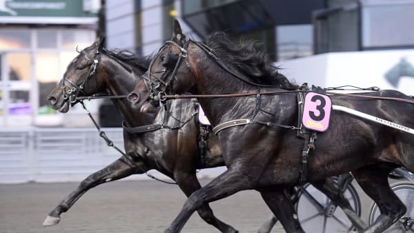 Foto: LARS JAKOBSSON / TR BILD