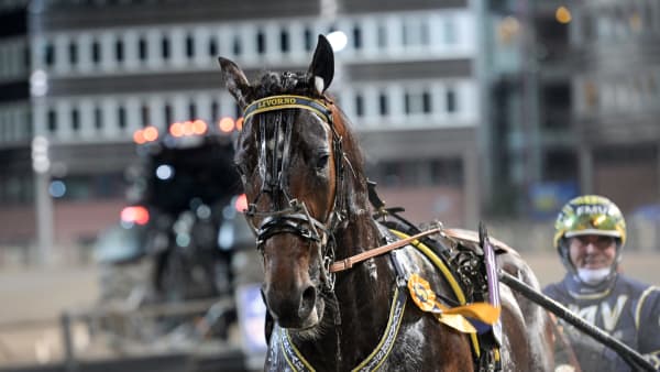 Foto: LARS JAKOBSSON / TR BILD