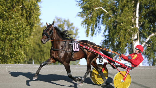 Foto: MARIA HOLMÉN / TR BILD