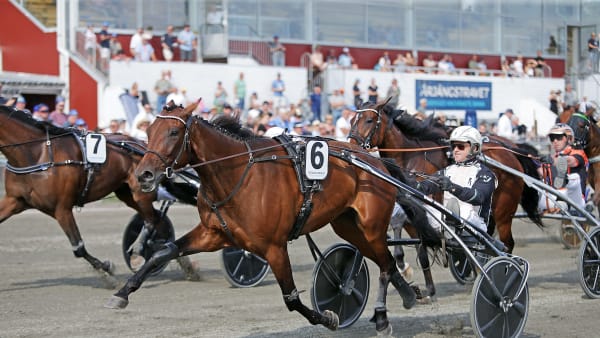 Foto: MATILDA ÖHRMAN / TR BILD