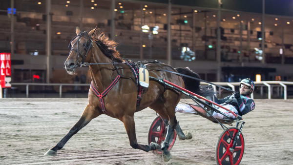 Foto: MIKAEL ROSENQUIST / TR BILD