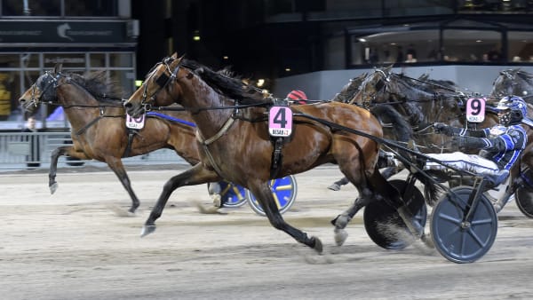 Foto: LARS JAKOBSSON / TR BILD