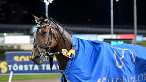 Foto: LARS JAKOBSSON/TR BILD
