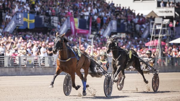 Foto: LENA EMMOTH / TR BILD