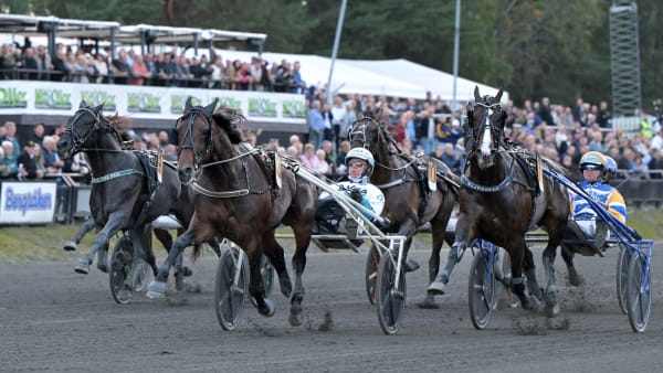 Foto: LARS JAKOBSSON / TR BILD