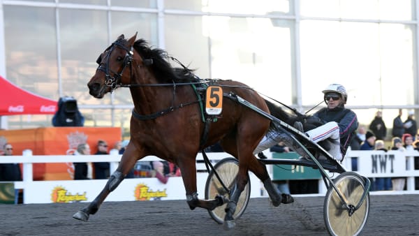 Foto: MALIN ALBINSSON / TR BILD