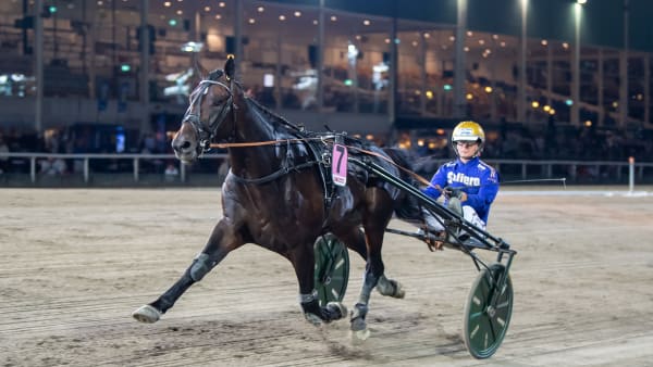 Foto: MIKAEL ROSENQUIST / TR BILD