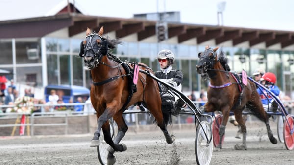 Foto: MALIN ALBINSSON / TR BILD