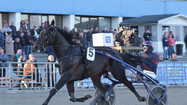 Foto: LARS JAKOBSSON / TR BILD