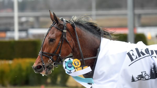 Foto: LARS JAKOBSSON / TR BILD