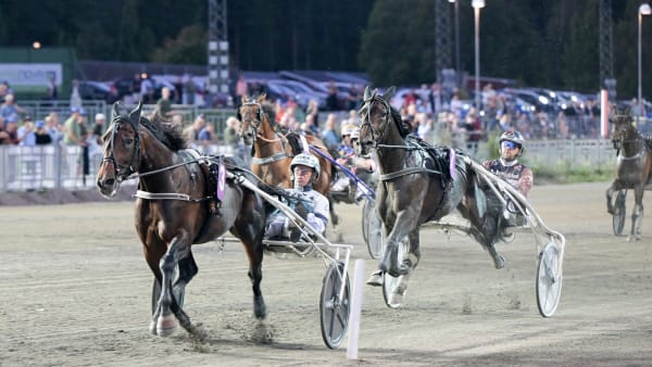 Foto: LARS JAKOBSSON / TR BILD