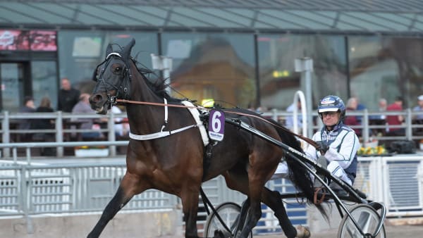 Foto: LARS JAKOBSSON / TR BILD