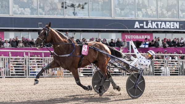 Foto: LENA EMMOTH / TR BILD