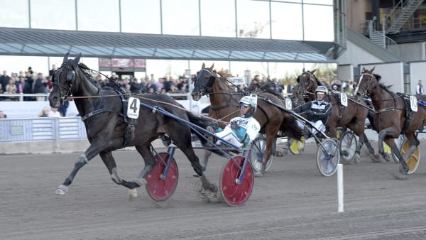 Foto: LARS JAKOBSSON / TR BILD