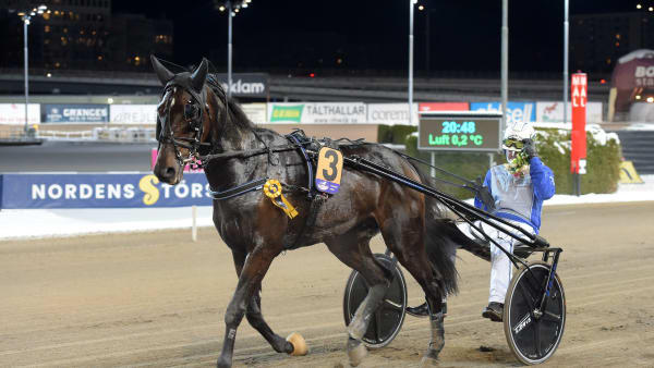 Foto: LARS JAKOBSSON / TR BILD