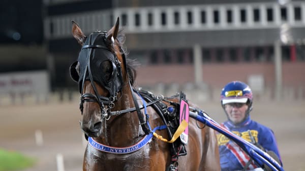 Foto: LARS JAKOBSSON / TR BILD