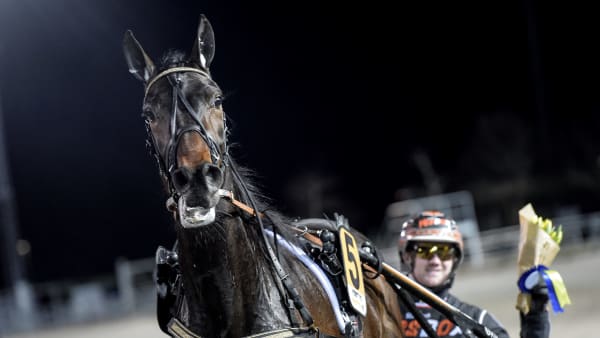 Foto: LARS JAKOBSSON / TR BILD