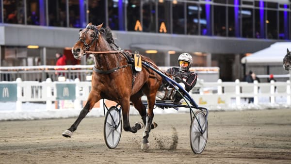 Foto: MALIN ALBINSSON / TR BILD