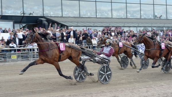 Foto: LARS JAKOBSSON / TR BILD