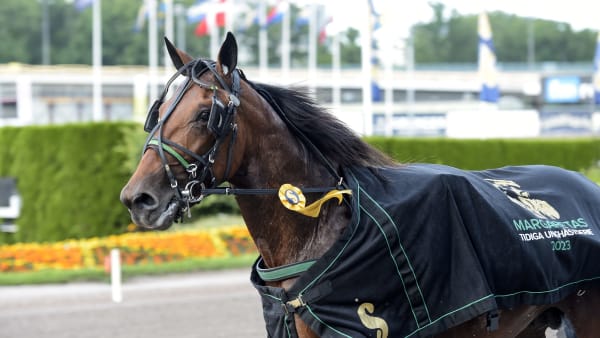 Foto: LARS JAKOBSSON / TR BILD