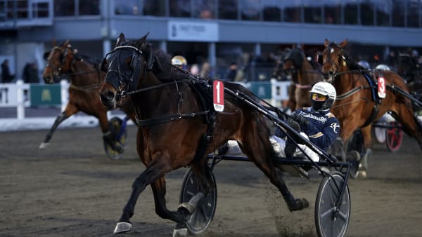 Foto: MATILDA ÖHRMAN / TR BILD