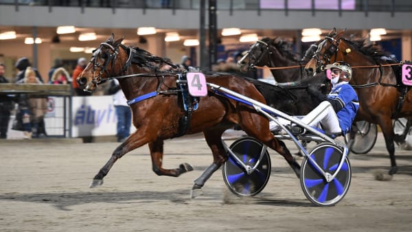 Foto: MALIN ALBINSSON / TR BILD