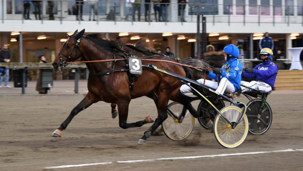 Foto: MALIN ALBINSSON / TR BILD