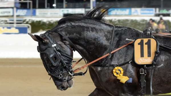 Foto: LARS JAKOBSSON/TR BILD