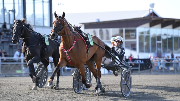 Foto: MALIN ALBINSSON/TR BILD