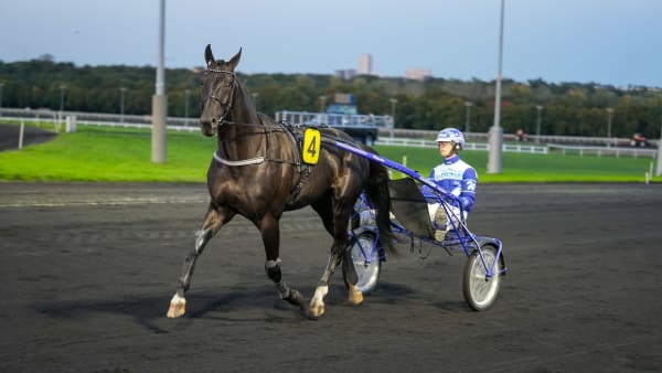 Foto: THOMAS BLOMQVIST / TR BILD