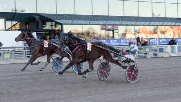 Foto: LARS JAKOBSSON / TR BILD