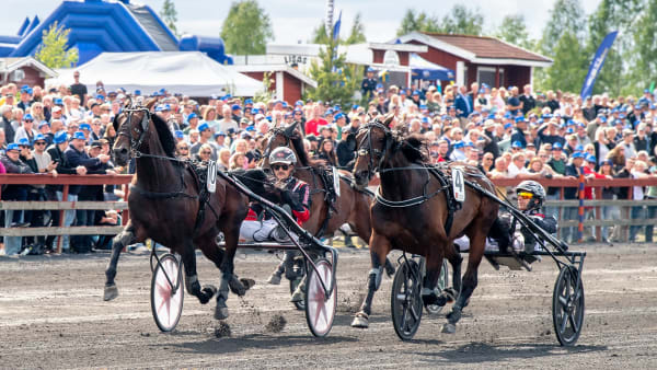 Foto: MIKAEL ROSENQUIST / TR BILD