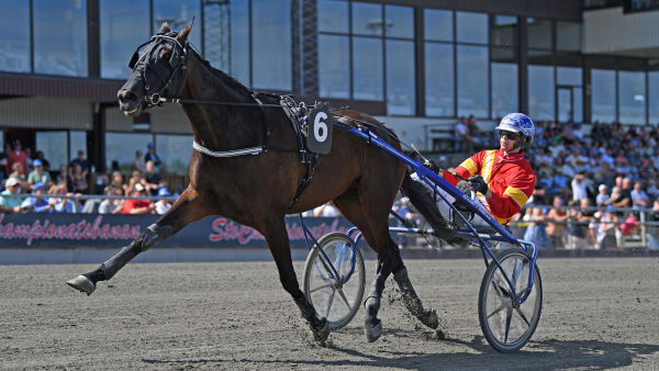 Foto: MALIN ALBINSSON / TR BILD