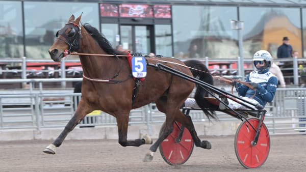 Foto: LARS JAKOBSSON / TR BILD