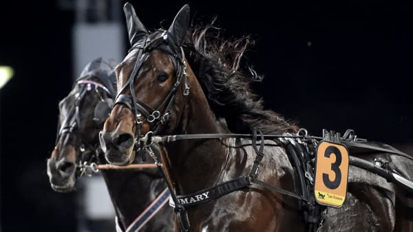 Foto: LARS JAKOBSSON / TR BILD