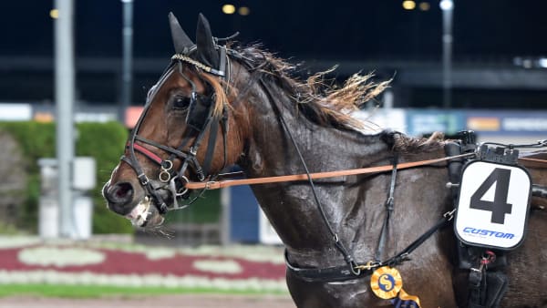 Foto: LARS JAKOBSSON / TR BILD