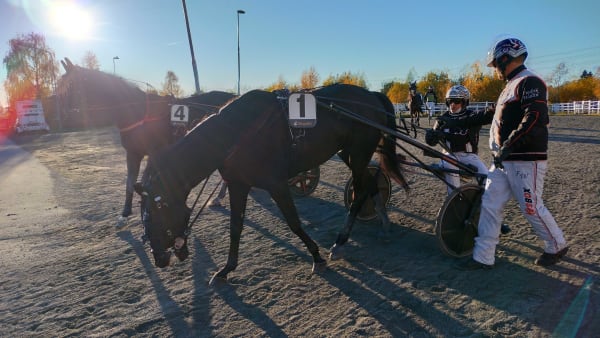 Foto: LUCAS ERICSSON/TR BILD