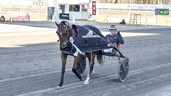Foto: JENNY REHNMAN / TR BILD