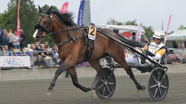 Foto: LARS JAKOBSSON / TR BILD