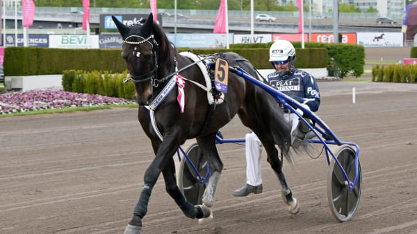 Foto: LARS JAKOBSSON / TR BILD