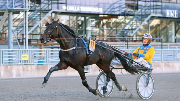 Foto: MARIA HOLMÉN / TR BILD