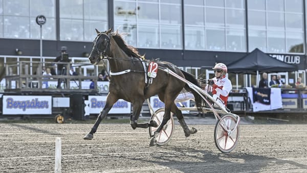 Foto: JENNY REHNMAN / TR BILD