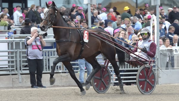 Foto: LARS JAKOBSSON / TR BILD