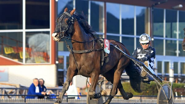 Foto: BERTH BRANDELL/GIRLPOWER