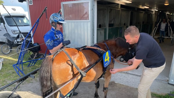 Foto: JONAS MÖLLER/TR BILD