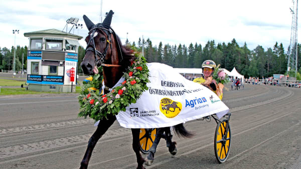 Foto: TOM JÖNEHAG