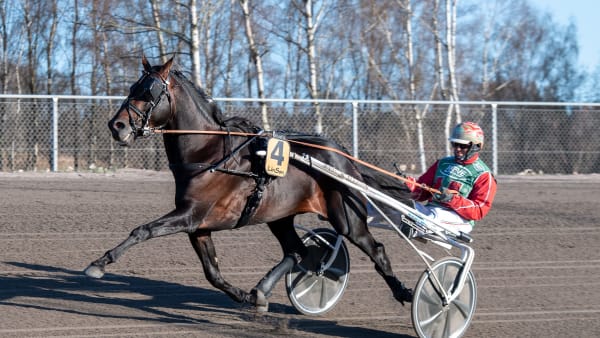 Foto: MIKAEL ROSENQUIST / TR BILD